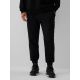 5. Men's jogger sweatpants 4F 4FRAW26TTROM2175-20S