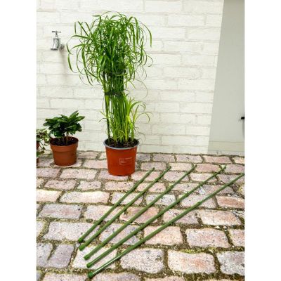 9. KINZO PLANT SUPPORT POLE 6 PCS 50-80 CM
