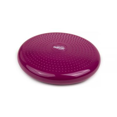 4. Tiguar stabilizing disc (air disc) DR-GT0001