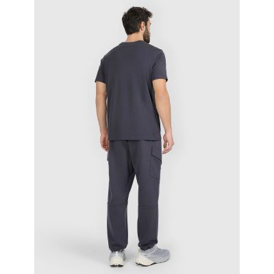3. Men's jogger sweatpants 4F 4FRAW25TTROM1694-22S