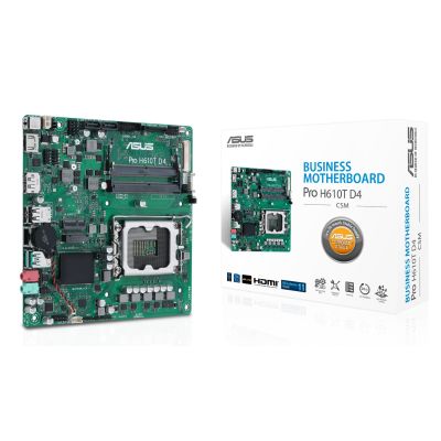 ASUS Pro H610T D4-CSM Motherboard