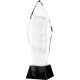9. 3D engraved glass trophy