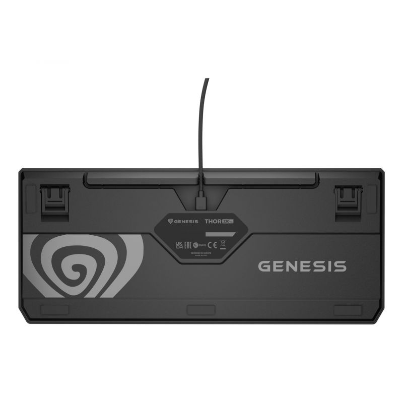 13. GENESIS Thor 230 TKL Gaming Keyboard USB QWERTY US English Black