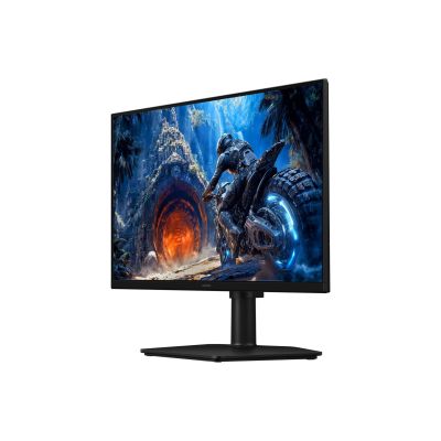 12. SAMSUNG LS25HG402EU MONITOR