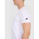 4. Men's regular plain T-shirt 4F 4FRSS25TTSHM3041-10S