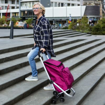 2. Expert Premium 604353 Shopping Cart