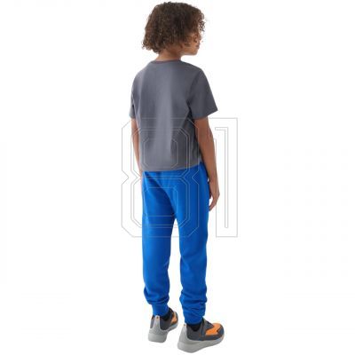 7. Trousers 4F M0810 Jr 4FJWMM00TTROM0810 36S
