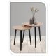 3. COFFEE TABLE WITH 3 LEGS, WOODEN TABLETOP, SET OF 2