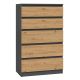 3. Chest of drawers M5 70x40xH112 anthracite/artisan