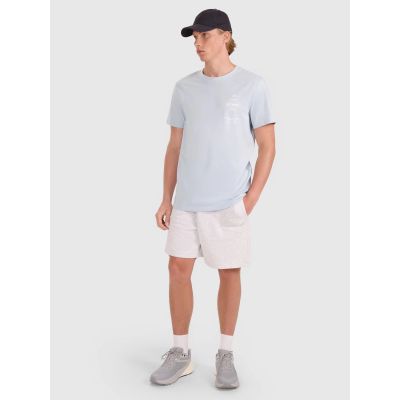 4. Men's regular printed T-shirt 4F 4FRSS25TTSHM2688-34S