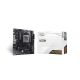 BIOSTAR A620MT-E 2.0 motherboard