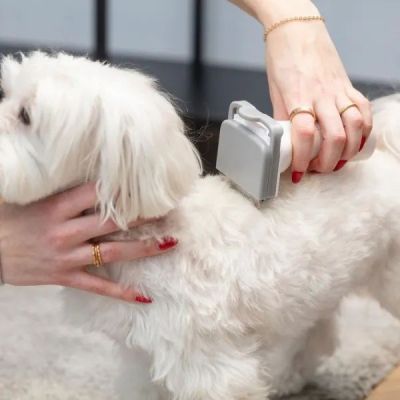 13. MPM MOD-1000 device for home care of dogs and cats