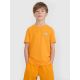 Boy's regular printed T-shirt 4F 4FJRSS25TTSHM2642-70S
