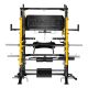 12. CYKLON X Multifunctional Smith Machine with HMS Equipment