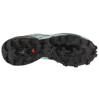 4. Salomon Speedcross 6 GTX W L47880100 Blue 38