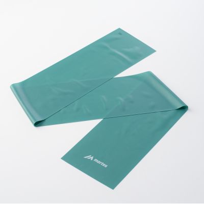 2. RESIST Resistance Band
