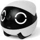 9. Enabot Rola Mini Companion companion robot