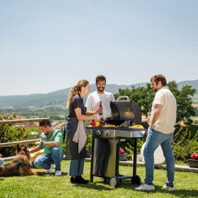 14. Black+Decker BXOG7200E Gas Grill 2 Burners x 3.6 kW