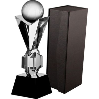 Glass trophy with case