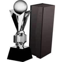 Glass trophy with case