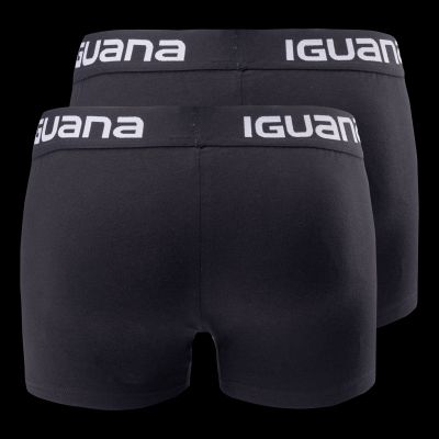 2. Iguana Melvo M boxers 92800656433