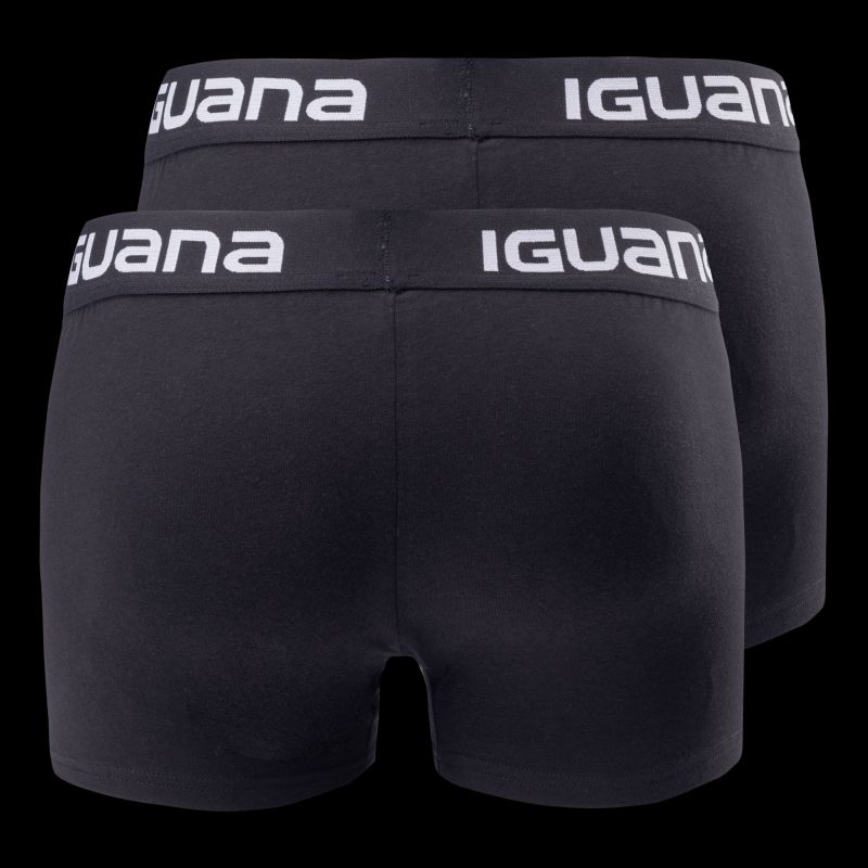 2. Iguana Melvo M boxers 92800656433
