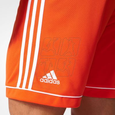 3. Adidas Squadra 17 M BJ9229 football shorts