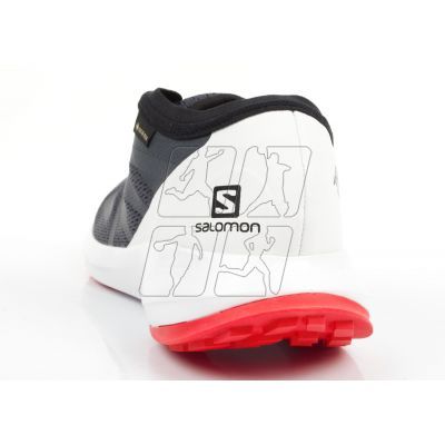 5. Salomon Sense Flow M 409672 GTX shoes