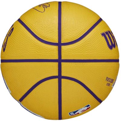 3. Wilson NBA Player Icon Stephen Curry Mini Ball WZ4007401XB