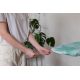 13. Vileda Comfort Plus Ironing Board Cover