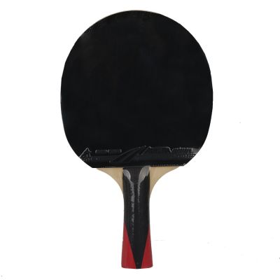 4. Aurora PRO 4* SG 4002 table tennis racket