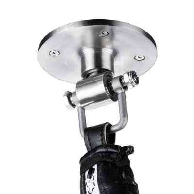 30. Boxing platform + pear DBX BUSHIDO DBX-P-11