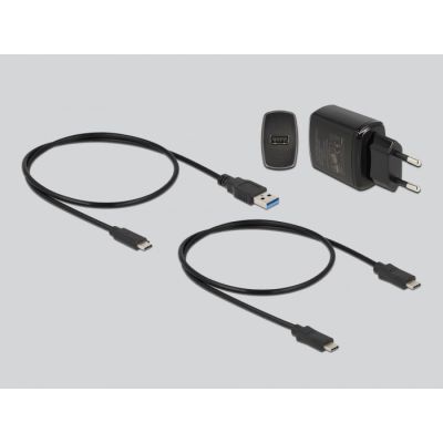 5. DeLOCK M.2 Docking Station for 2 x M.2 SATA SSDs with Clone Function