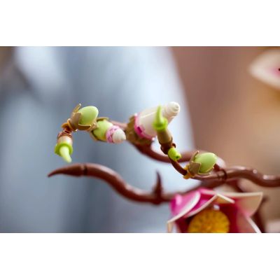 13. LEGO Botanicals 11510 - Magnolia Branches