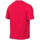 5. Nike Dri-Fit Park VIII Men's T-Shirt Coral HV8173 635