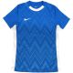 Nike Dri-FIT Challenge V Jersey Women's Blue FD7420 463