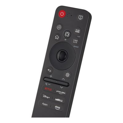 19. LG MR25GA AI Magic Remote