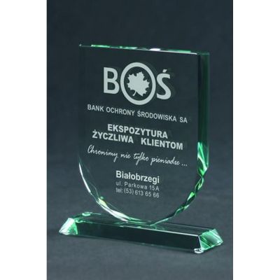 8. Engraved glass trophy with case