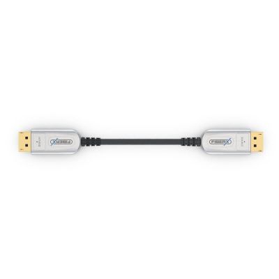 2. FiberX FX-I260-010 DisplayPort Cable 10m Black, Silver