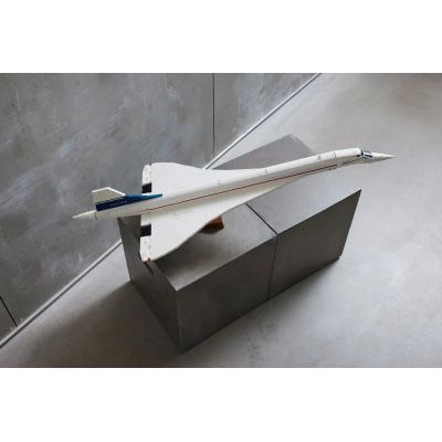 22. LEGO Icons 10318 Concorde