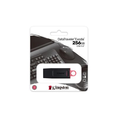 6. KINGSTON FLASH 256GB USB3.2 Gen1 DataTraveler Exodia (B+P)