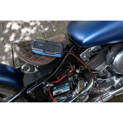 7. Ansmann 1001-0143 Vehicle Charger 6 - 12 V Black