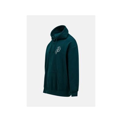 2. PEAK PERFORMANCE M Terry Graphic Hood green