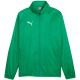 Puma Team Goal All Weather Men's Jacket Green 659038 05
