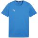 7. Puma Team Goal Casuals Tee M 658615 02