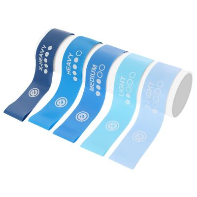 17. SET OF FITNESS CROSSFIT MINI BLUE BAND 5IN1 ENERO FIT