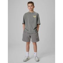 Boys' sweatpants 4F 4FJRSS26TSHOM0911-25S