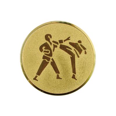 2. Aluminium Insert – Karate