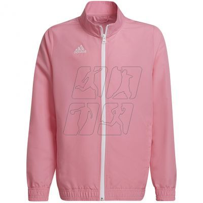 Adidas Entrada 22 Presentation Jacket Jr HC5037