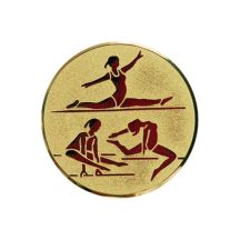 Aluminium insert – women’s gymnastics